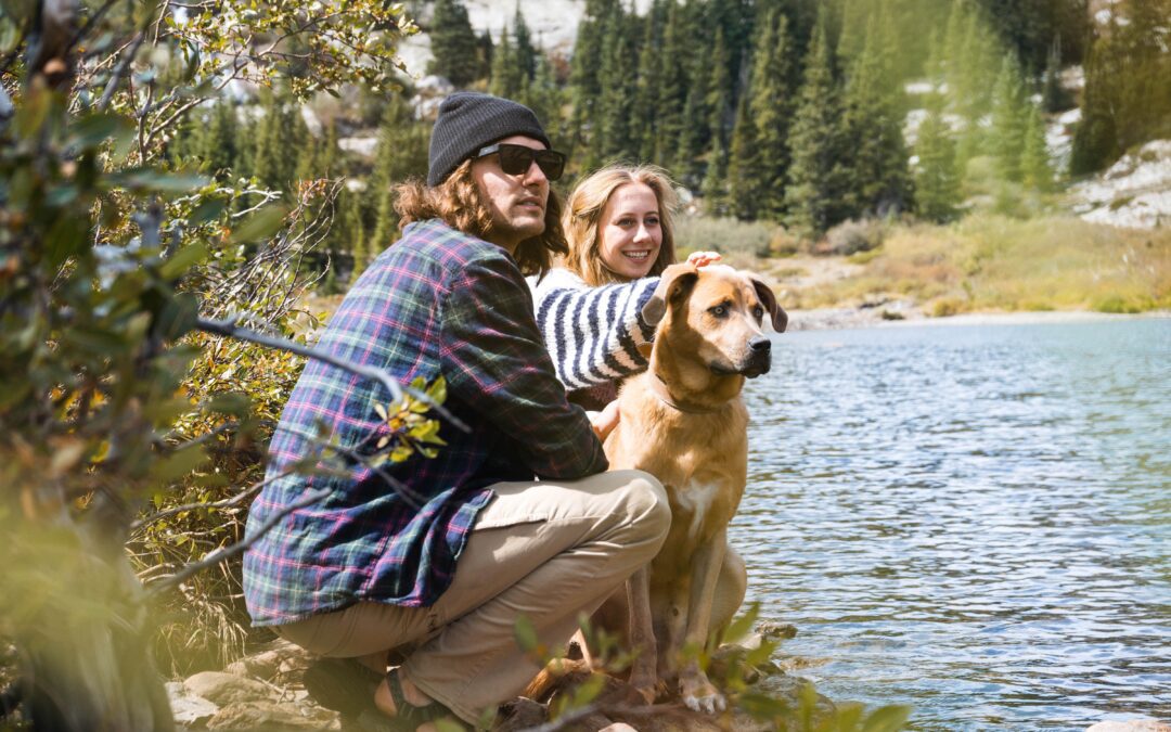 Tails on Trails: Unleashing the Best Dog-Friendly Local Hiking